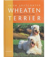H Bok irish softcoated wheaten terrier